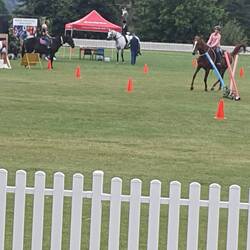 Horse events - disappointed we didn't see sheep dog trials.....guess apples don't need dogds