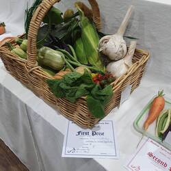 Junior mixed vege winner - look at those garlic bulbs