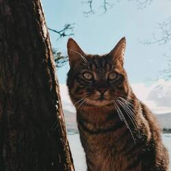 Natürlich auch mit Momo