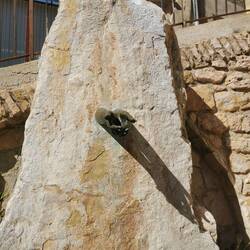 Was will der Künstler uns sagen?