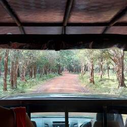 View from the jeep