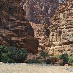 And into the Wadi Disha we go