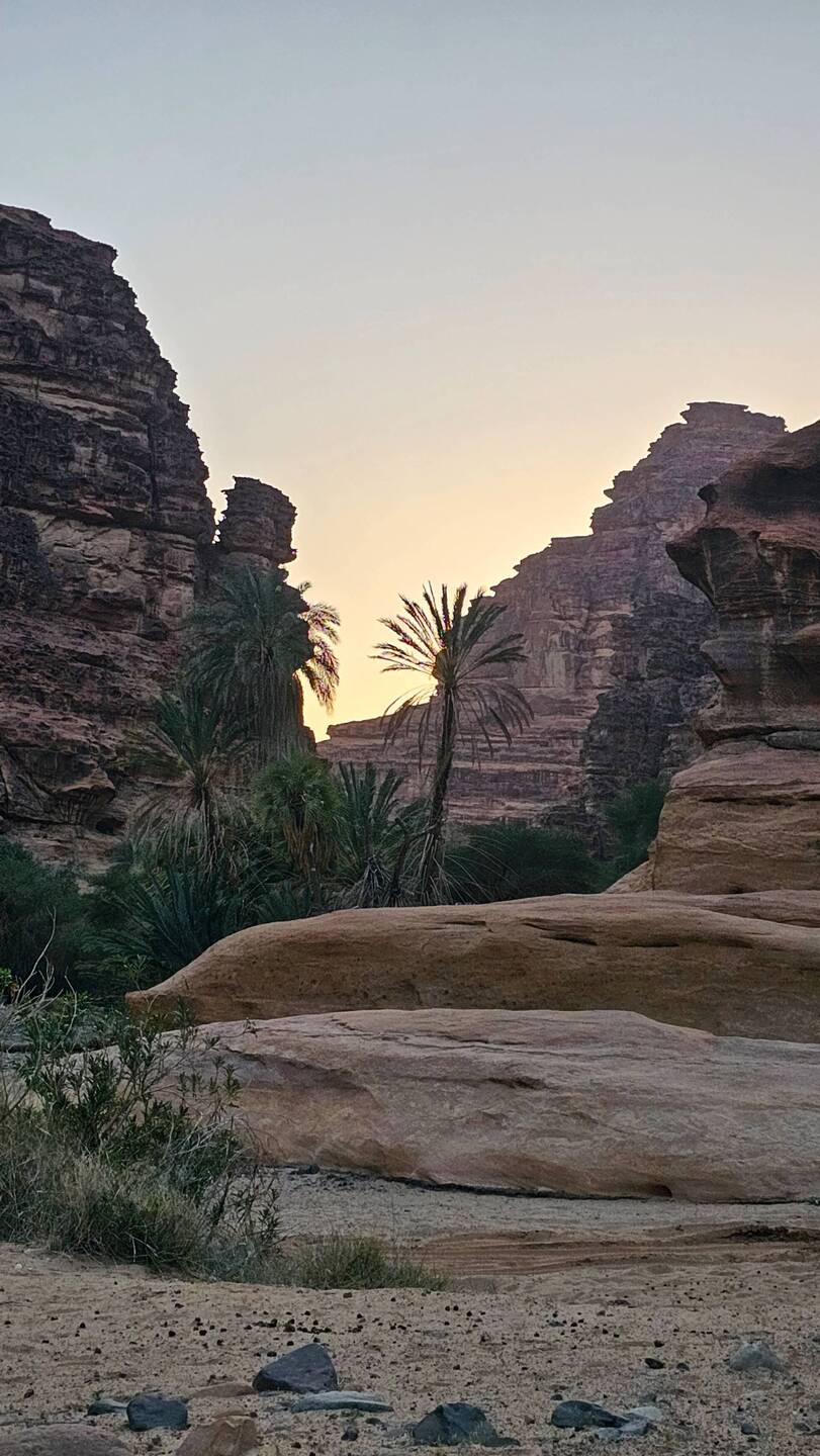 We drive back to the middle of the Wadi and spend the night there