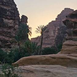 We drive back to the middle of the Wadi and spend the night there