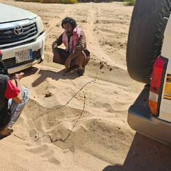 Barbed wire to tow a pickup out of the sand