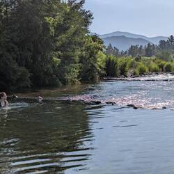 Campsite river in Las peñas