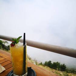 Enjoying the view...
