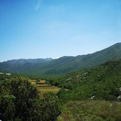 Lush nature