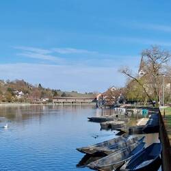 Die Holzbrücke von Diessenhofen!