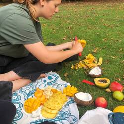 Christchurch (again)