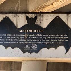 Sign under a bridge along the bike path