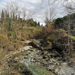 And sudden wilderness