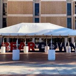 Bear Down - official motto of U of A