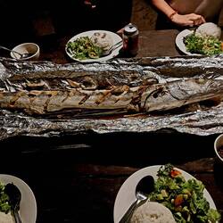 Barracuda-Essplausch 🐟👌