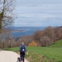 Abstieg zum Untersee!