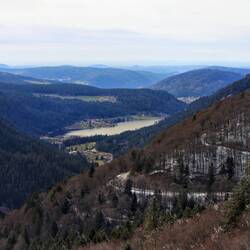 Vosges