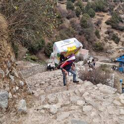 Porter porting a lot