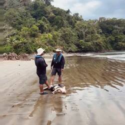 der unangefochtene Star des Tages