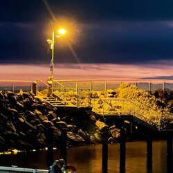 Leider kaum zu erkennen, aber hier konnten wir von weitem auch zum ersten Mal Pinguine sehen