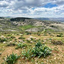 der Ort des Unglücks