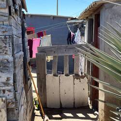A yard