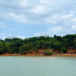 Schau da hin, bis du Krokodile siehst, haben sie gesagt.🤷🏻‍♂️