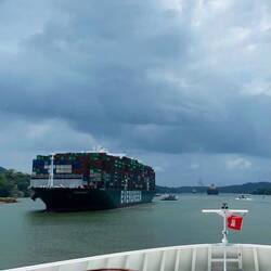 natürlich ziemliche Brummer unterwegs hier