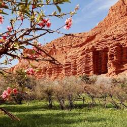 Gorge du Dades