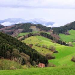 Schwarzwald