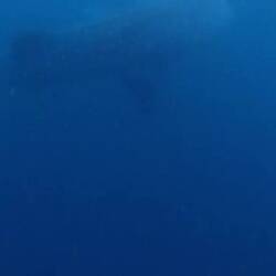 Nachtragsvideo zu Philipinen