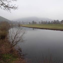 Kurz hinter Gengenbach überquere ich die Kinzig
