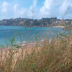 Da hinten geht es hin...