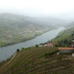 Foggy morning over the Douro River on the way to Pinháo