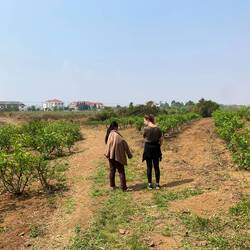 Rundgang auf der Mulberry Farm