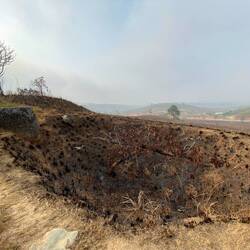 Bombenkrater bei Plain of Jars I