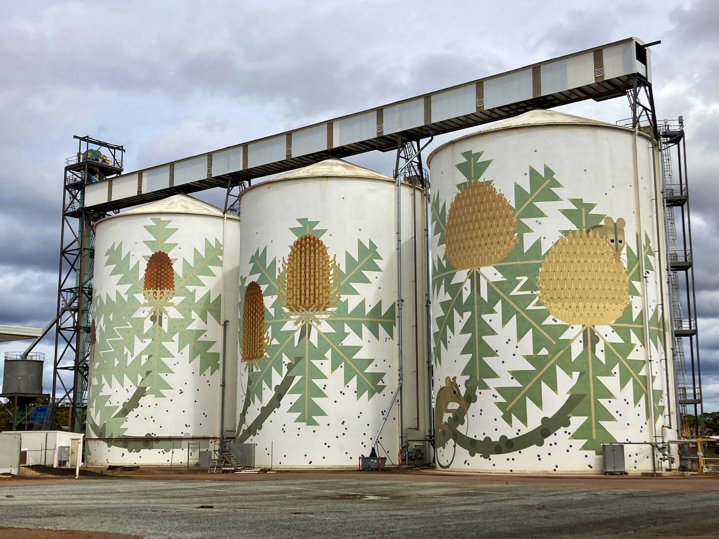Silo Art at Ravensthorpe