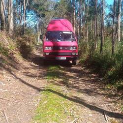 Pause im Eukalyptuswald