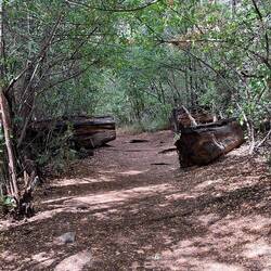 Und bei solchen Wegen kann man schon glauben, dass es hier Kobolde gibt.