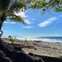 Am Morge nach dä 7bnä wiit u breit niämer ume