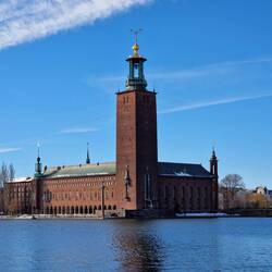 Jede der Kronen ist so groß wie ein VW Käfer