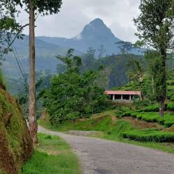 First view of Adam's Peak (Sri Pada)