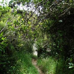 Friedlichi Wanderweg
