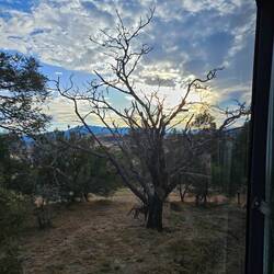 Sunset as we were leaving Bonorong