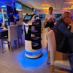 Robot waiter