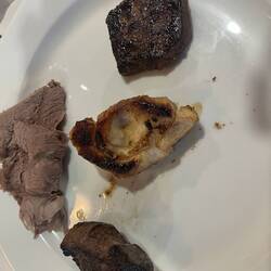 My first plate (top to bott): Deer, Alligator, Ostrich and Sheep (left)