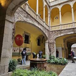 History museum garden