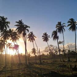 Fahrt nach Las Terrenas