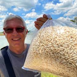 Papa avec son riz soufflé