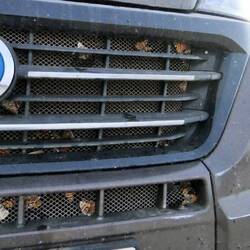 Es waren einige unterwegs, leider