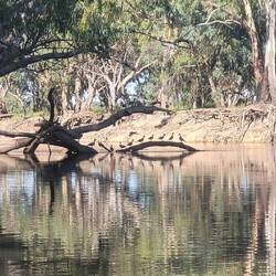 All my ducks in a row...